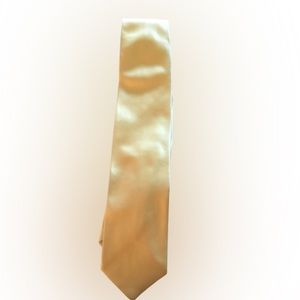 Beautiful Silk Men’s Tie